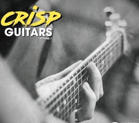 New Beard Media Crisp Guitars Vol 1 WAV